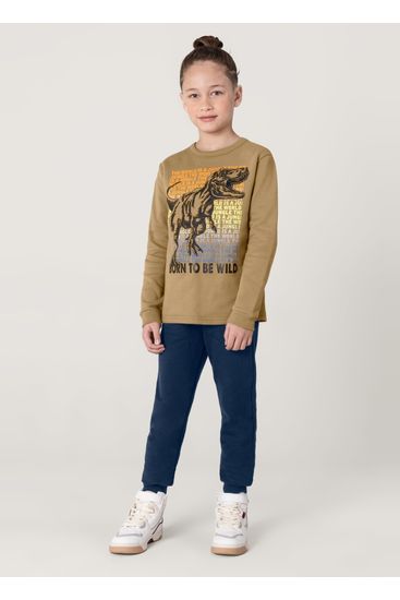 Conjunto Dinossauro Em Moletom Infantil Menino Brandili